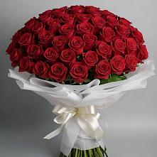 Букет 101 Красная роза Блэк Мэджик в Зилаир
