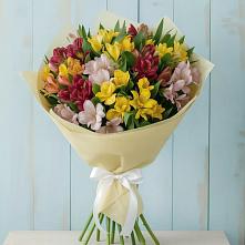 Букет цветов из:  Альстромерии в Зилаир