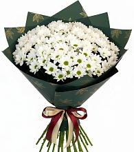 Букет цветов из:  Хризантемы в Зилаир