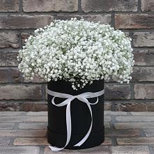 Цветочная композиция из Гипсофила в шляпной коробке в Зилаир