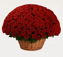 Премиум букет из: Розы в Зилаир